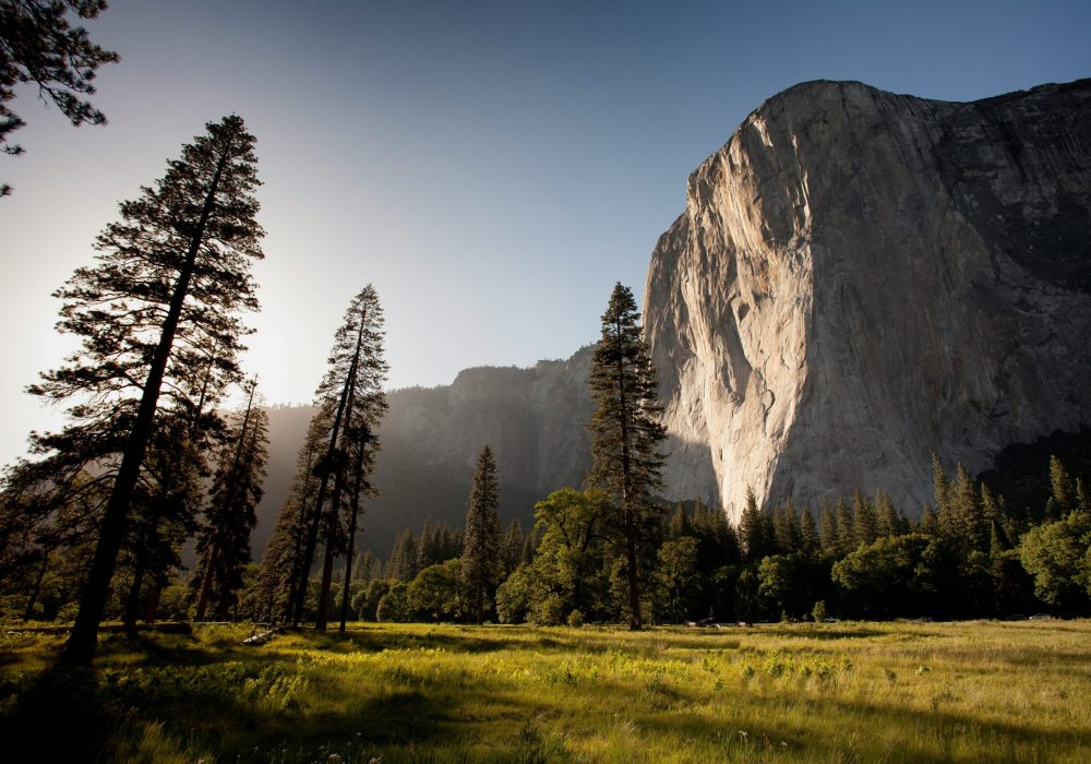 adam-kool-ndN00KmbJ1c-unsplash