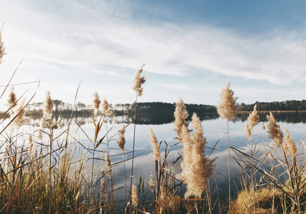 ayla-meinberg-phx4UXMQRTg-unsplash