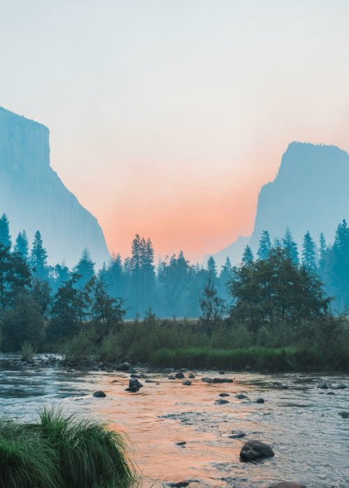 bailey-zindel-NRQV-hBF10M-unsplash