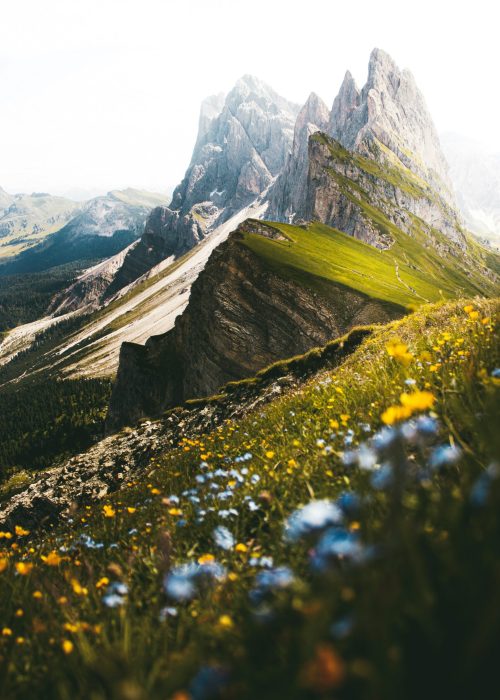 daniela-kokina-hOhlYhAiizc-unsplash