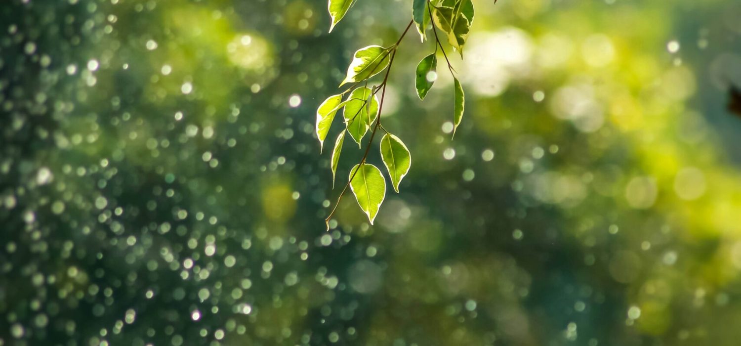 goutham-krishna-h5wvMCdOV3w-unsplash