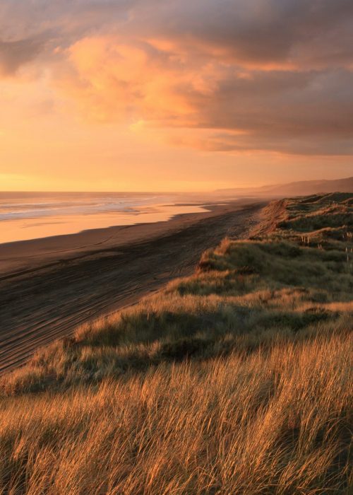 petr-vysohlid-9fqwGqGLUxc-unsplash