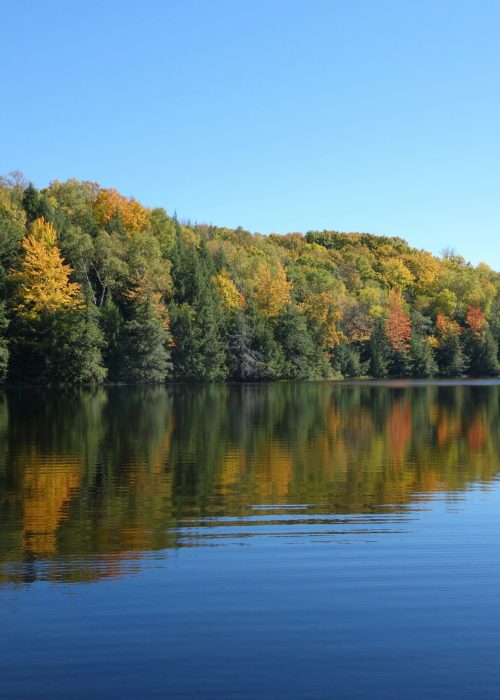 uniq-trek-bQYlRayXynE-unsplash